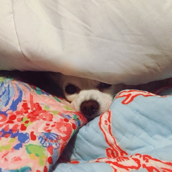 Meet Your Posher 🌴💕Cassi 💕🌴 - Picture 2 of 8